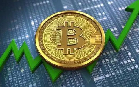大蓝btc预测，比特币未来的发展